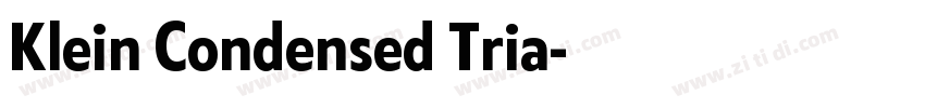 Klein Condensed Tria字体转换